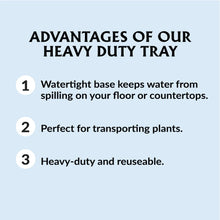 Ferry-Morse-Durable-Reusable-See4 - Brands For Less USA