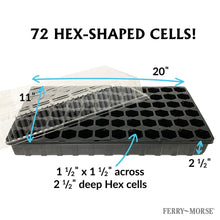 Ferry-Morse-Pro-Hex-Seed-Startin5 - Brands For Less USA