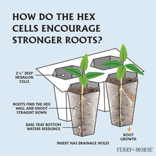 Ferry-Morse-Pro-Hex-Seed-Startin7 - Brands For Less USA