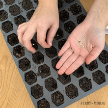 Ferry-Morse-Pro-Hex-Seed-Startin8 - Brands For Less USA
