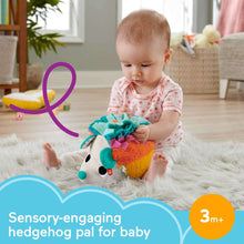 Fisher-PriceCuddlen-SnuggleHedgehogNewbornPlushSensoryToywithSensoryDetailsforBabies1-_6 - Brands For Less USA