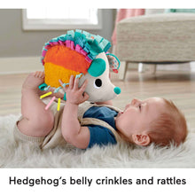 Fisher-PriceCuddlen-SnuggleHedgehogNewbornPlushSensoryToywithSensoryDetailsforBabies4-_3 - Brands For Less USA