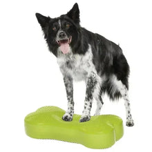 FitPawsK9FitBoneandDuoDiskInflatableBundle2 - Brands For Less USA
