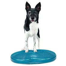 FitPawsK9FitBoneandDuoDiskInflatableBundle4 - Brands For Less USA