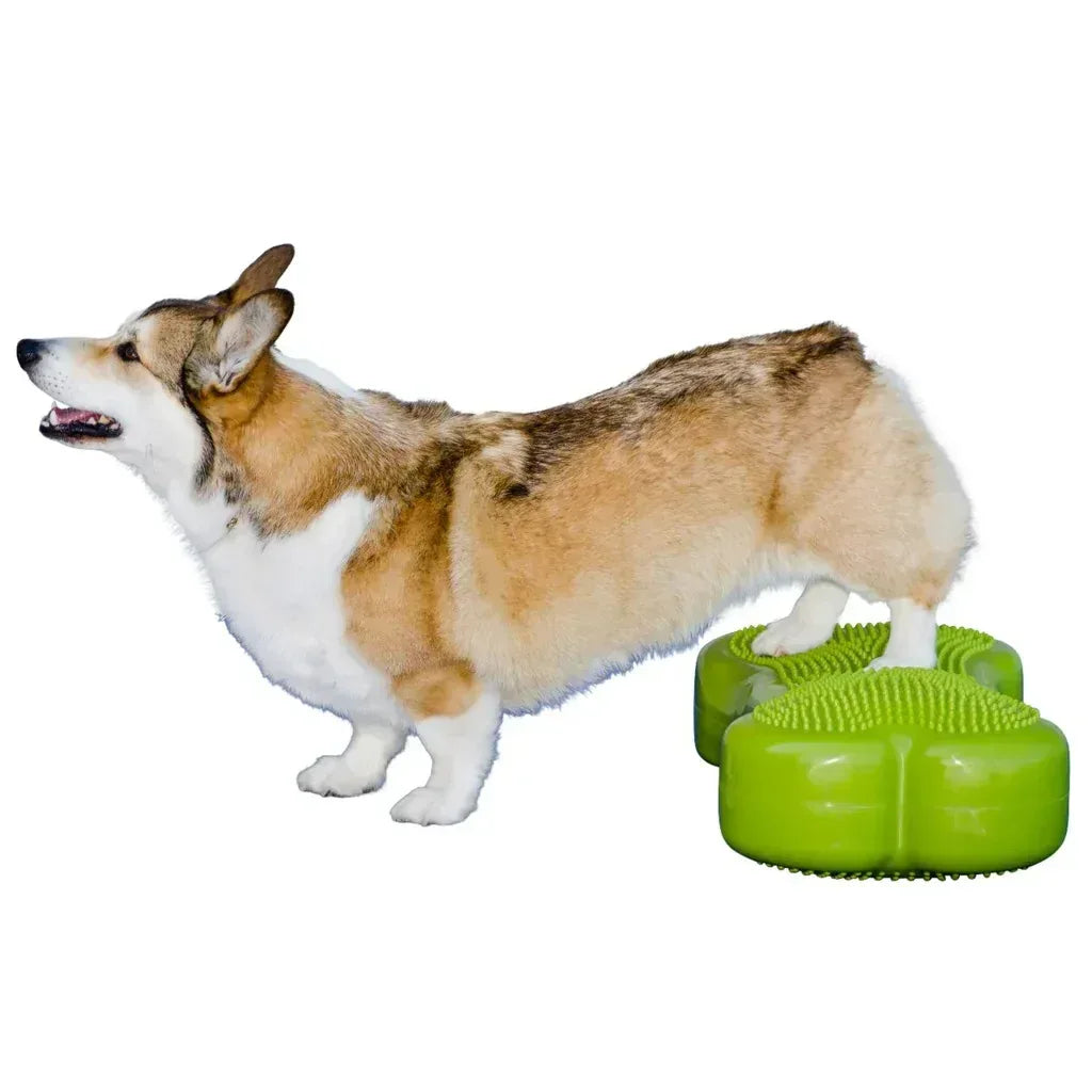 FitPaws K9 FitBone and Duo Disk Inflatable Bundle– Brands For Less USA