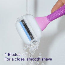 Flamingo Women's Moisture Plus Razor Set with Razor Handle, 2 Blade Refill Cartridges, and Shower Holder, Fig