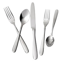 Fortessa Grand City 20 piece Place Setting