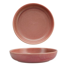 Fortessa Sound Desert Rose 16-piece Dinnerware Set - Brands For Less USA