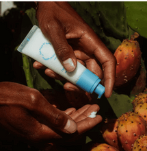 Fountain of Waters Tomato Garden Hand Care Set