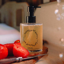 Kit de cuidado manual para el jardín de tomates Fountain of Waters