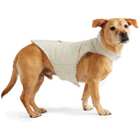 Pet Supplies
