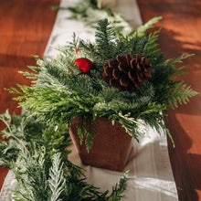 Fresh Northwest Greens Holiday Centerpiece