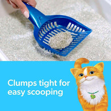 FreshStepClumpingLitterWithFebrezeFreshnessGainOriginalScent-42lbs-7-_3 - Brands For Less USA