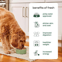 Freshpet_Complete_Nutrition_Chicken_Recipe_Fresh_Dog_Food_1.5_lb_Rolls_6_ct. - Brands For Less USA