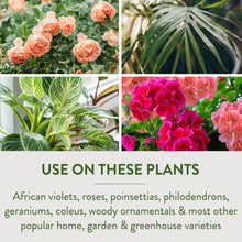 Garden-Safe-Take-Root-Rooting-Ho2 - Brands For Less USA