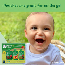 Gerber Organic 2nd Foods Pouch Variety Pack, 3.5 oz., 18 ct.