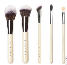 HALEYS Beauty Makeup Brush Set, 5-piece
