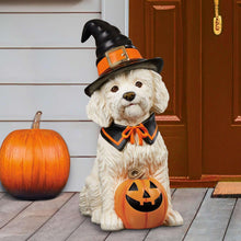 HalloweenWitchDogGreeter-Doodle2-_1 - Brands For Less USA