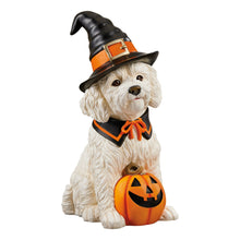 Halloween Witch Dog Greeter, Doodle