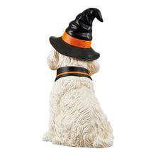 Halloween Witch Dog Greeter, Doodle