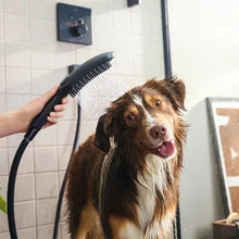 HansgroheDogShowerhead2 - Brands For Less USA