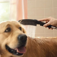HansgroheDogShowerhead3 - Brands For Less USA