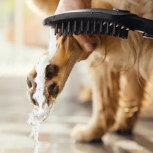 HansgroheDogShowerhead5 - Brands For Less USA