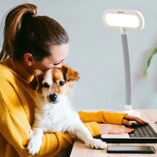 HappyLight Duo 2-In-1 Light Therapy & Task Desk Lamp - Brands For Less USA