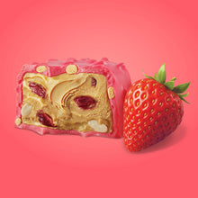 IQBAR BITES PB&J Protein Bites, Variety Pack, 15 ct.