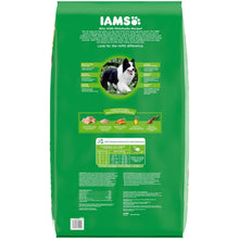 Iams_ProActive_Health_Chicken_Adult_Minichunks_Dry_Dog_Food_50_lbs._1 - Brands For Less USA