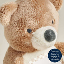 ItzyBitzyMirror-BearSensoryTummyTimeToy4-_6 - Brands For Less USA