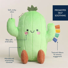 ItzyRitzySweetieSnuggle-CactusPlush3-_6 - Brands For Less USA