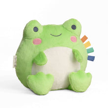 ItzyRitzySweetieSnuggle-FrogPlush-_1 - Brands For Less USA