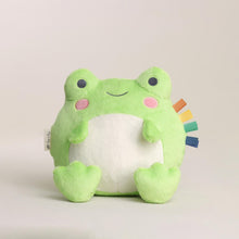 ItzyRitzySweetieSnuggle_FrogPlush8 - Brands For Less USA