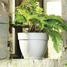 Jacinto-Recycled-Plastic-Planter1 - Brands For Less USA