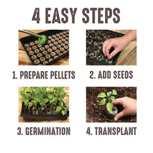 Jiffy-25-Cell-Seed-Starting-Gree4 - Brands For Less USA