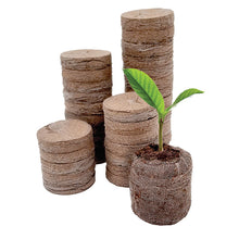 Jiffy 36 mm Peat Pellet Refills (36 pack), Seed Starter Soil Plugs