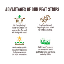 Jiffy-Strips-Biodegradable-Seed2 - Brands For Less USA