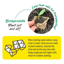 Jiffy-Strips-Biodegradable-Seed3 - Brands For Less USA