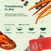 JinxSalmon-SweetPotato-CarrotRecipe-GrainFreeDryDogFood-23-5lbs-1-_7 - Brands For Less USA