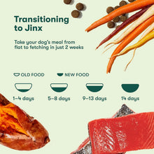 JinxSalmon_SweetPotato_CarrotRecipe_GrainFreeDryDogFood_23.5lbs.1_6129b067-b8ad-4921-8b4d-8c286968ef9c - Brands For Less USA