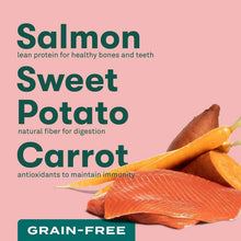 JinxSalmon_SweetPotato_CarrotRecipe_GrainFreeDryDogFood_23.5lbs.5_d40741e2-5230-48aa-be67-9ab51894c3ef - Brands For Less USA