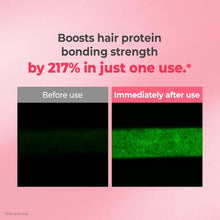 KUNDAL Protein Bonding Shampoo & Conditioner Set, Violet Muguet | 16.9 Fl Oz, Korean Hair Care, For Dry-Looking Hair, LPP Protein, Repairs Damage & Smooths Cuticles