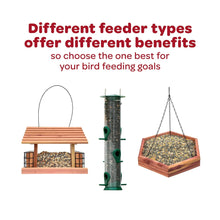 Kaytee-All-American-Wild-Bird-Fo4 - Brands For Less USA