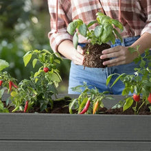 Keter_Darwin_29_Gallon_Raised_Garden_Bed_and_Self_Watering_Planter_Box3 - Brands For Less USA