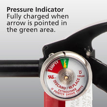 Kidde Kitchen and General-Use 1:A-10:BC Fire Extinguisher Value Pack