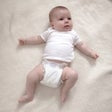 Kirkland Signature Diaper Sizes 1-2