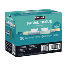 Kirkland Signature Facial Tissue, 2-Ply, 110-count, 30-pack