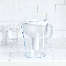 Kirkland Signature Filtered Water Pitcher