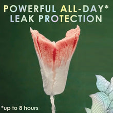 L. Tampons Super/Super Plus Absorbency, Made with Organic Cotton, 36 CT